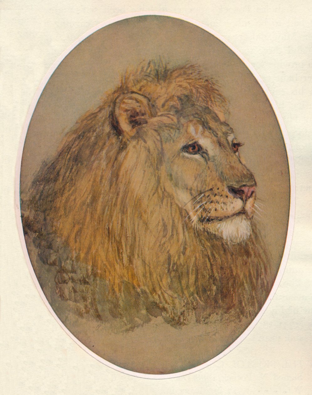 Testa di Leone, c. 1896 da Frank Paton