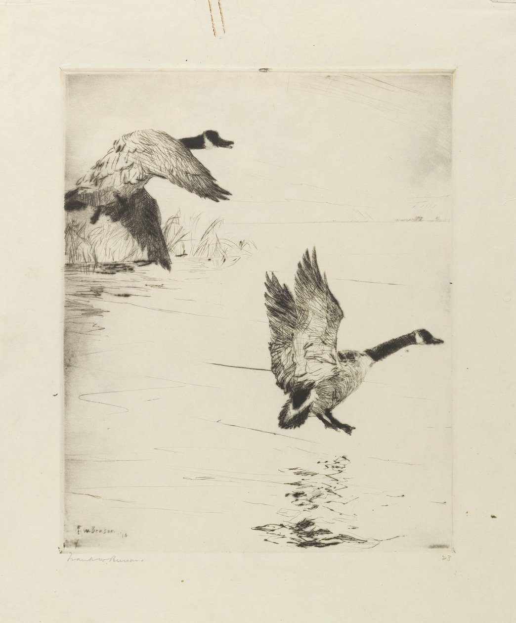 Oche in atterraggio da Frank Weston Benson