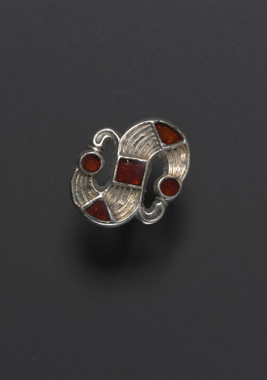 Fibula d