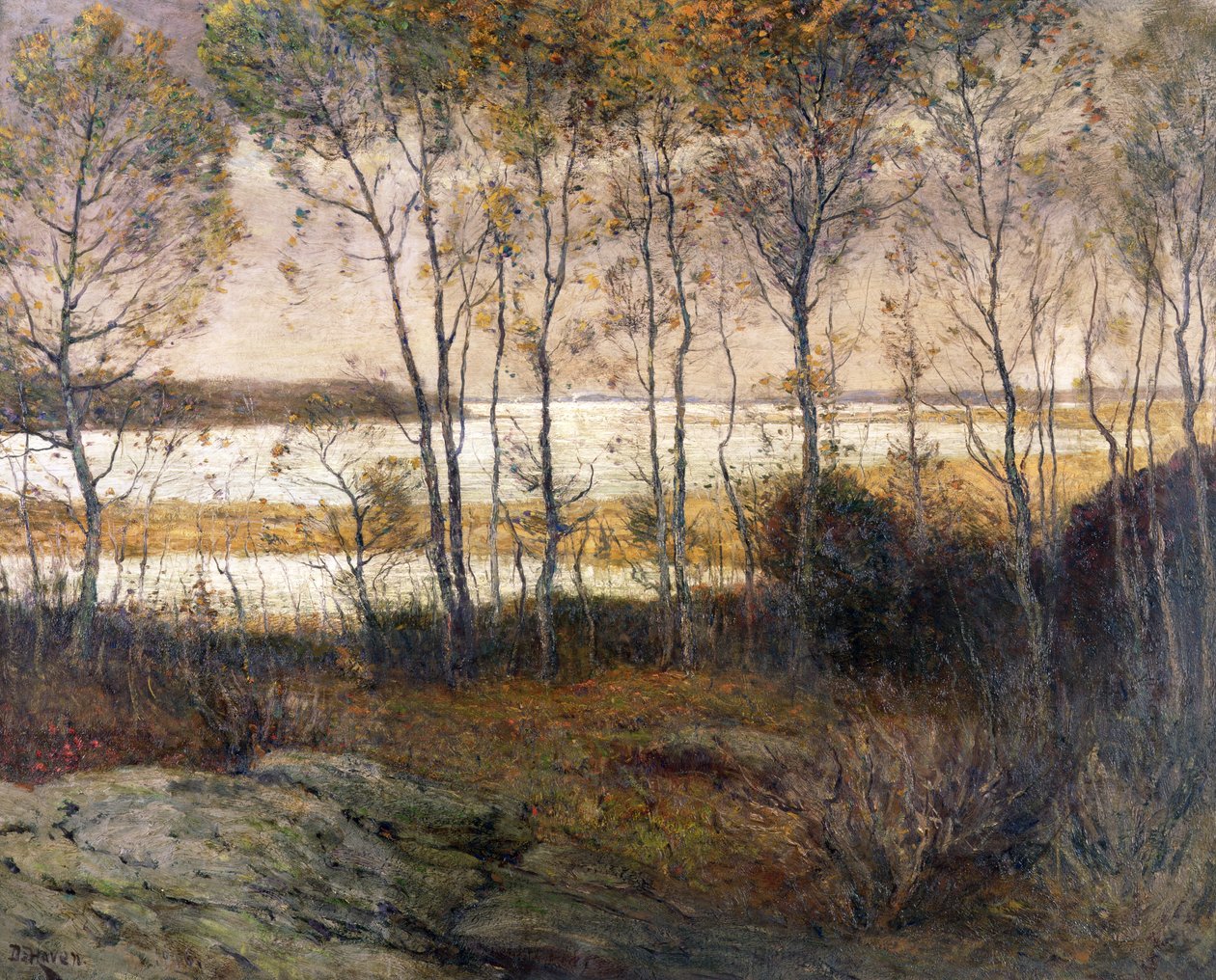 Acque argentee da Franklin De Haven