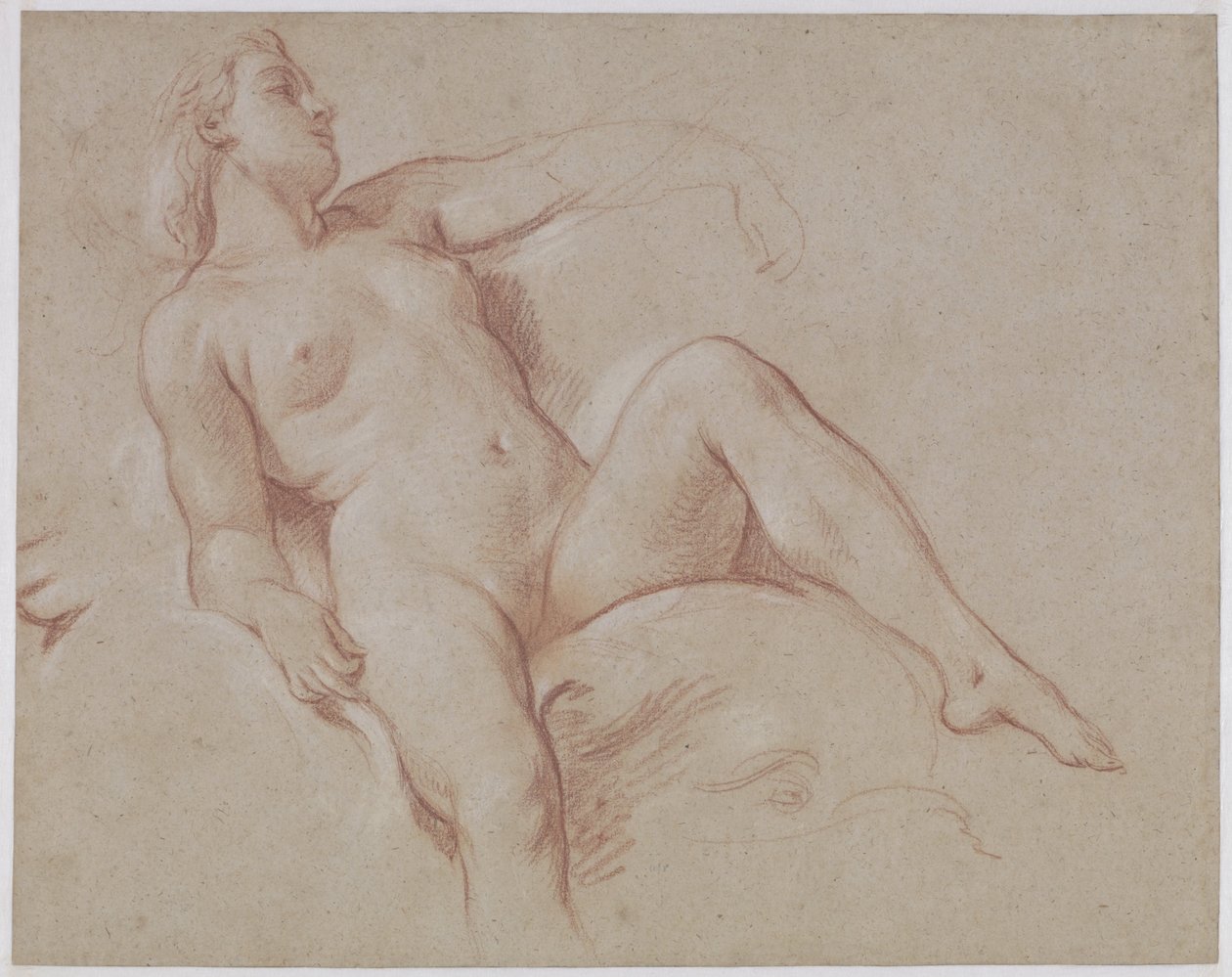 Nudo Femminile su un Delfino da François Boucher