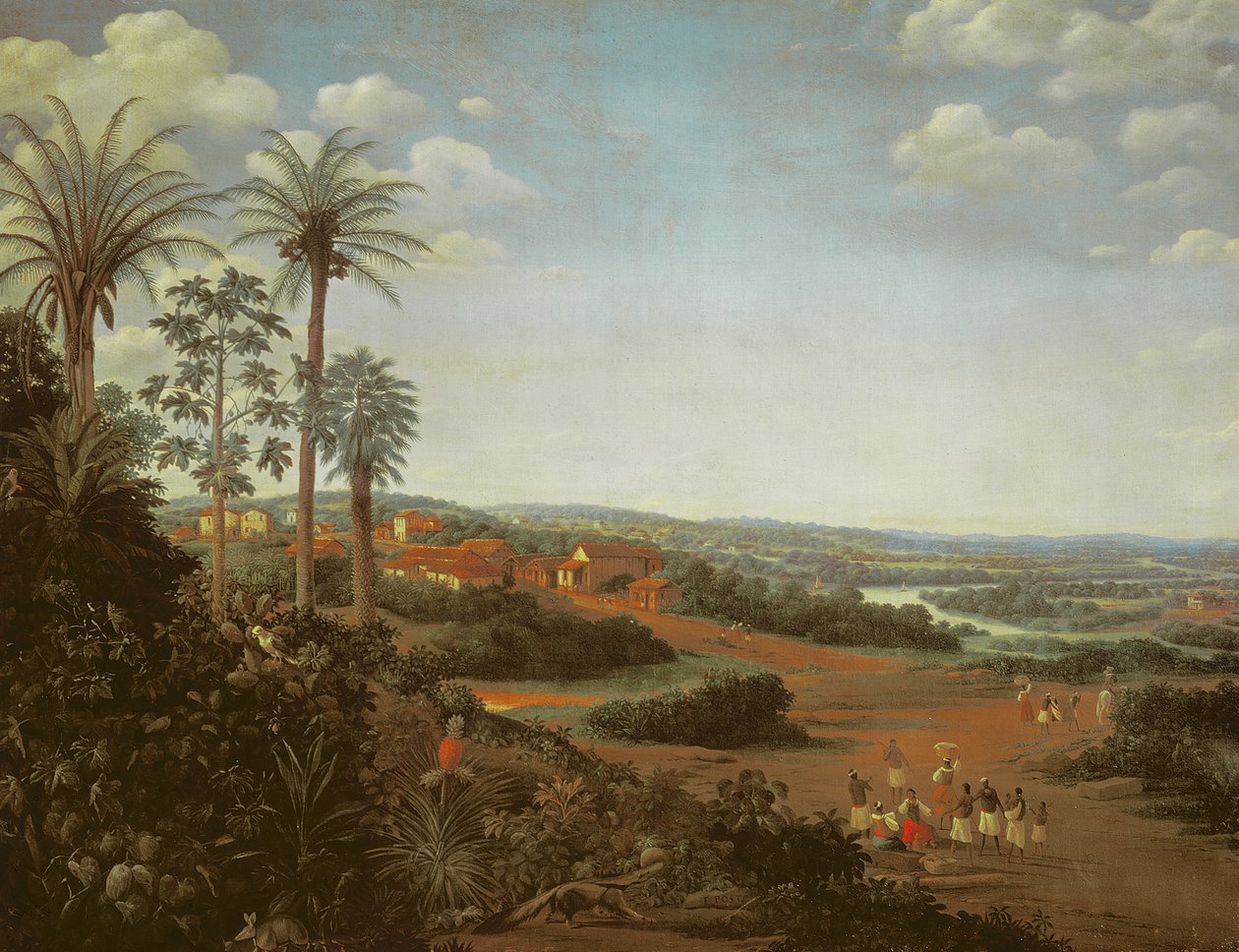 Il villaggio di Serinhaem, Brasile da Frans Post