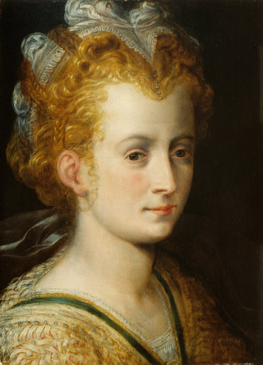 Testa di una giovane donna da Frans Floris