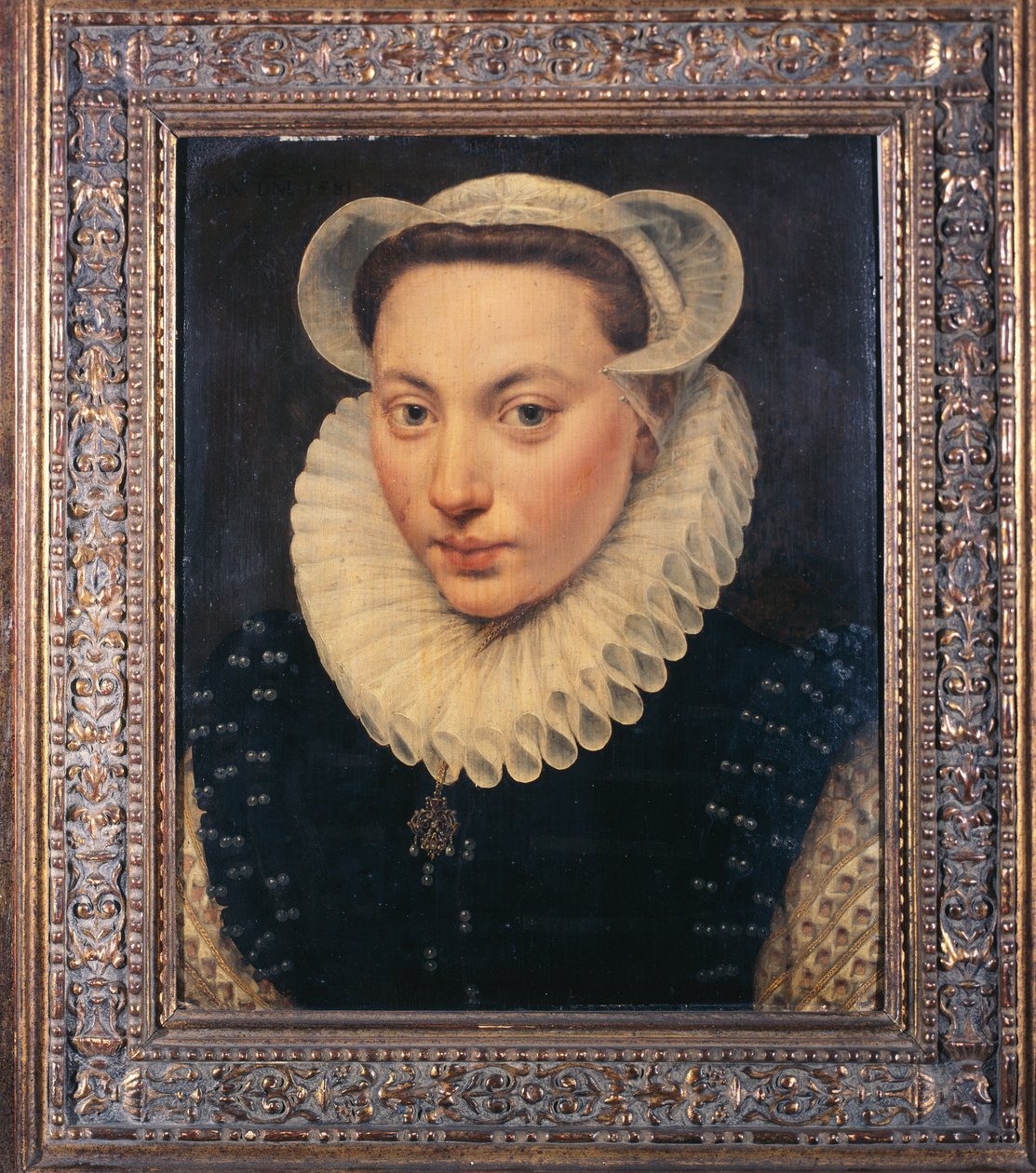 Ritratto di una Giovane Signora da Frans I Pourbus