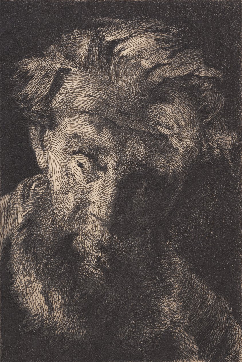 Vecchio barbuto che guarda di lato da Frans Schwartz