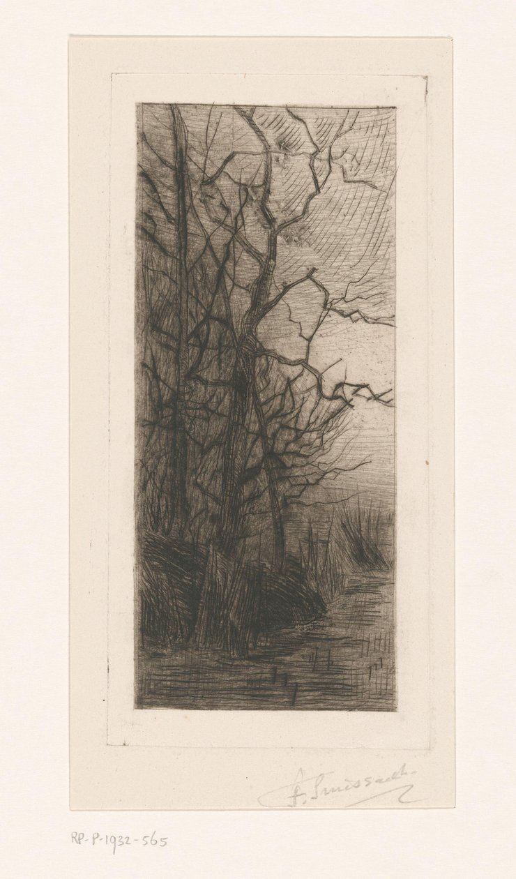 Alberi sull