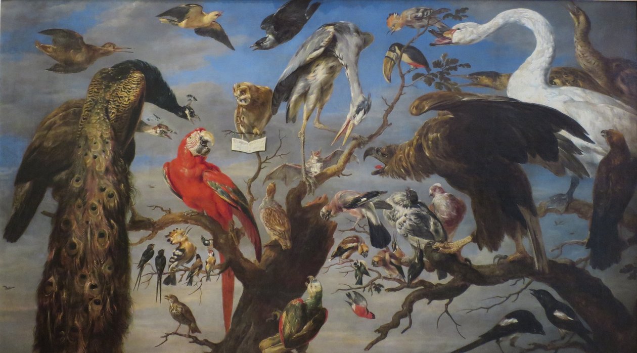 Concerto di uccelli da Frans Snyders