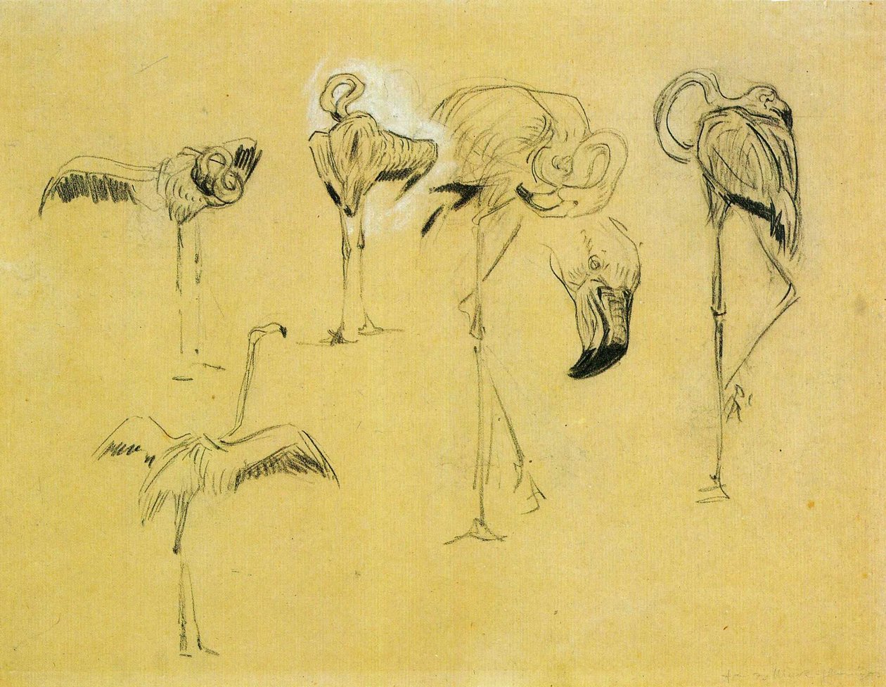 Fenicotteri da Franz Marc