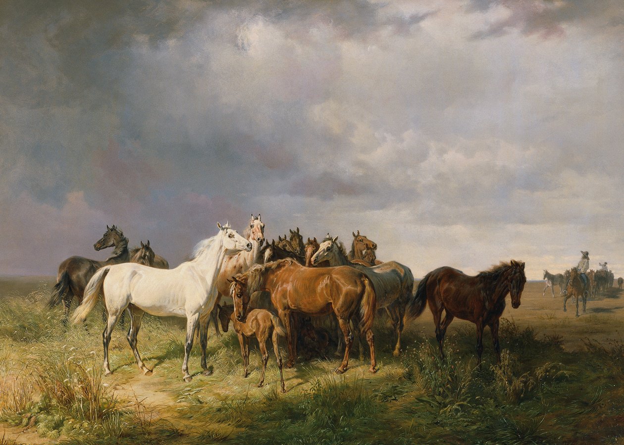 Cavalli nella Puszta da Franz Adam