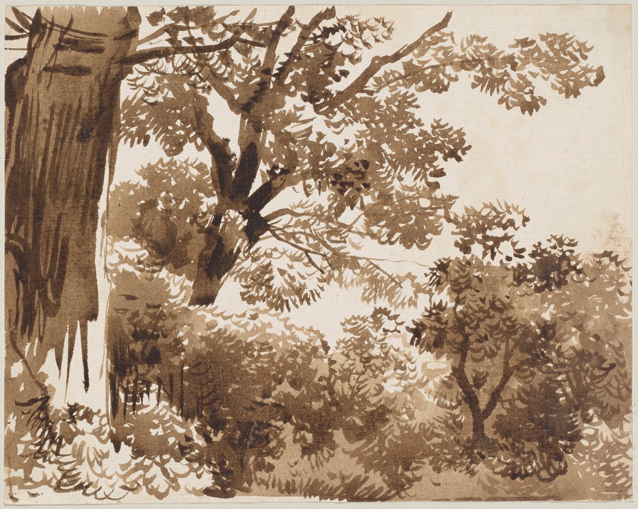 Nel bosco da Franz Kobell