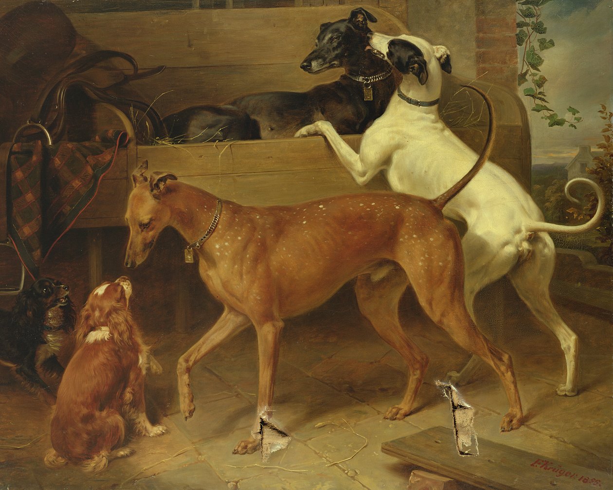 I cani di Kruger, 1855 da Franz Krüger