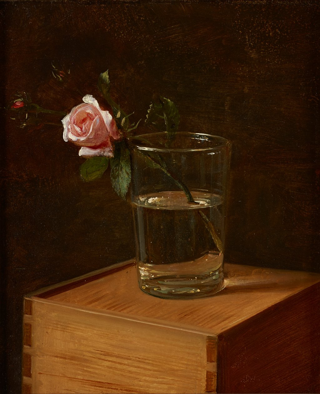 Rosa nel bicchiere da Franz Krüger