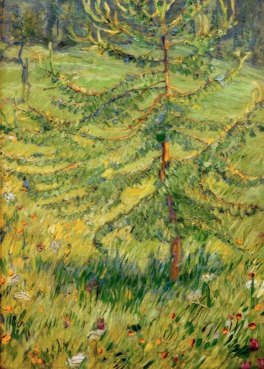 Giovane larice in un prato forestale da Franz Marc