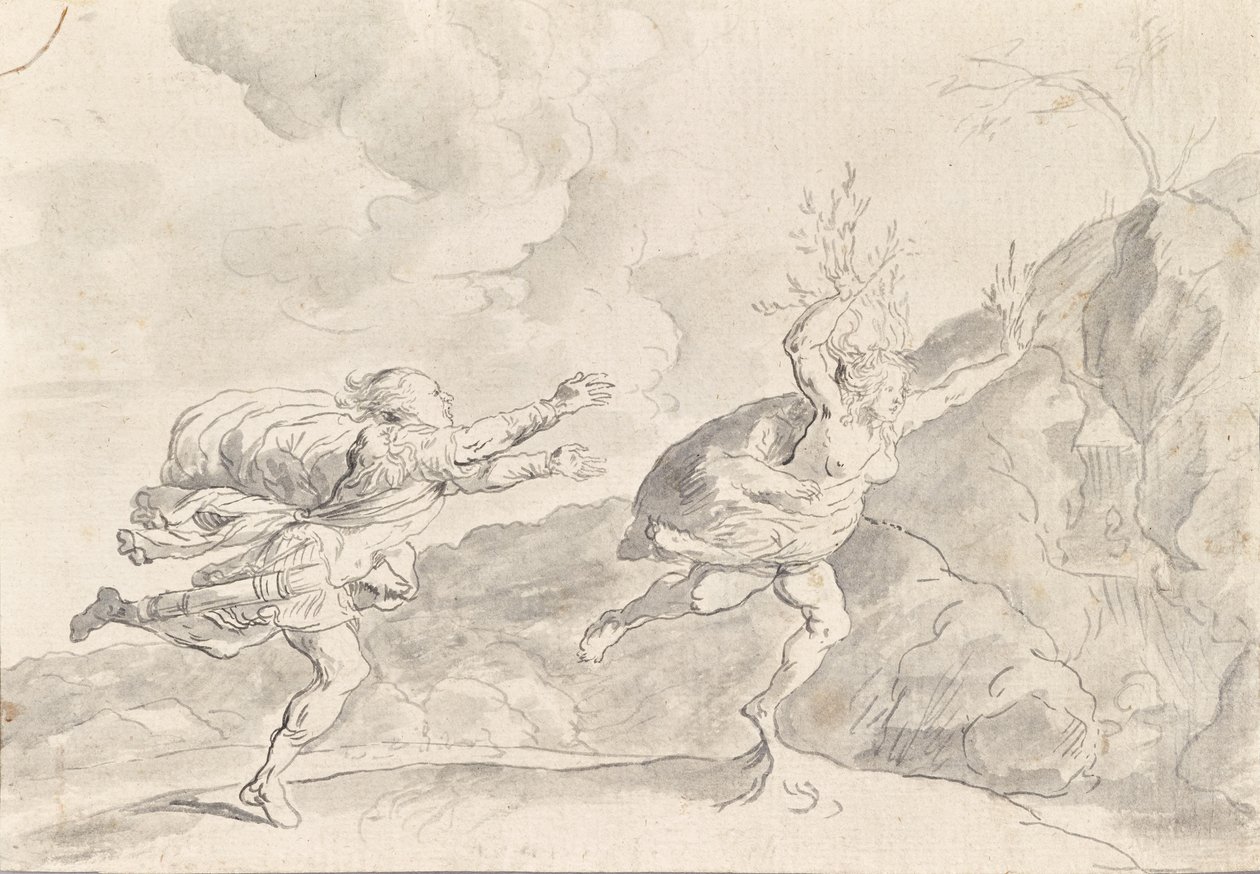 La trasformazione di Daphne in un albero di alloro da Franz Xaver Wagenschon
