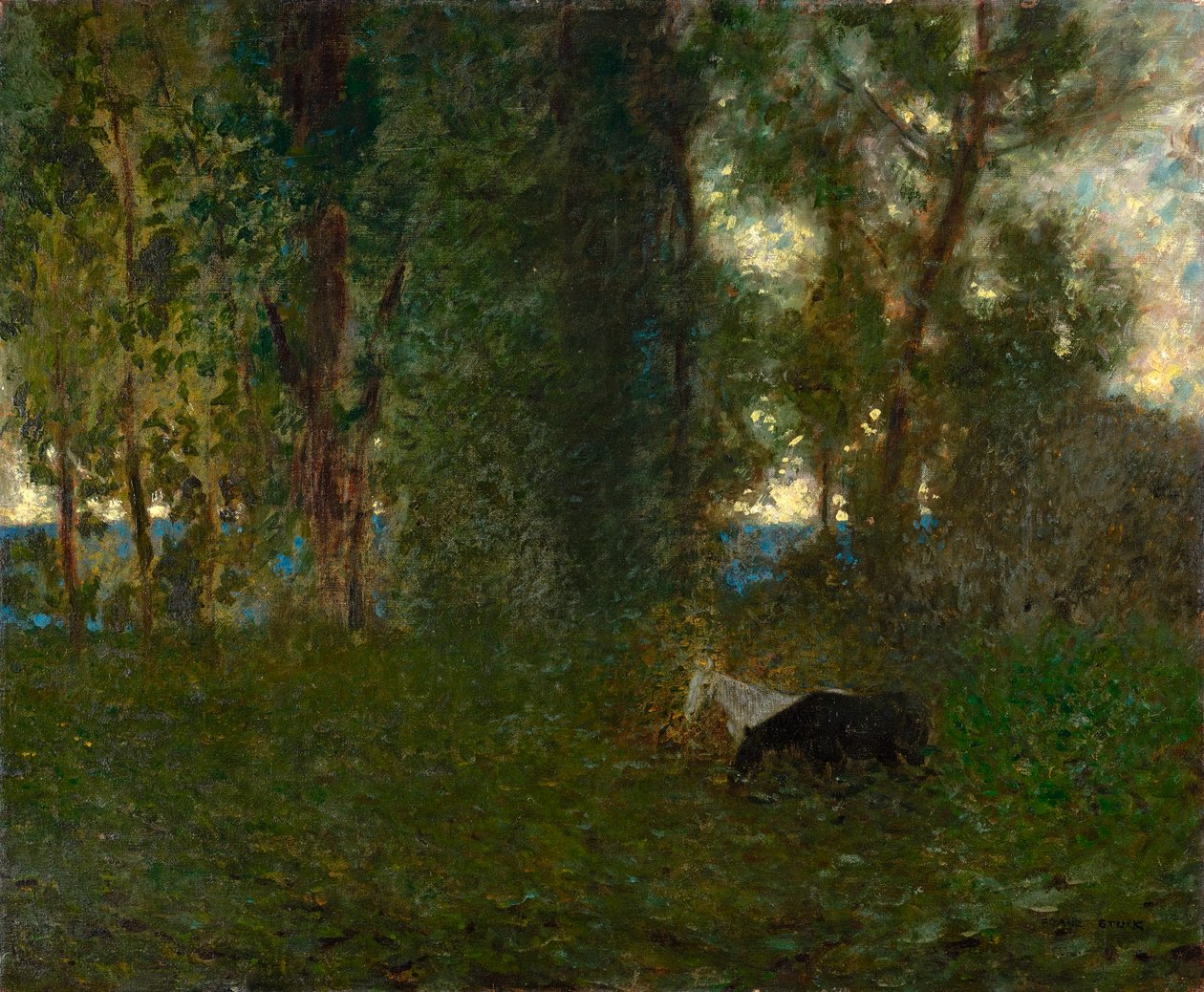 Cavalli al pascolo da Franz von Stuck