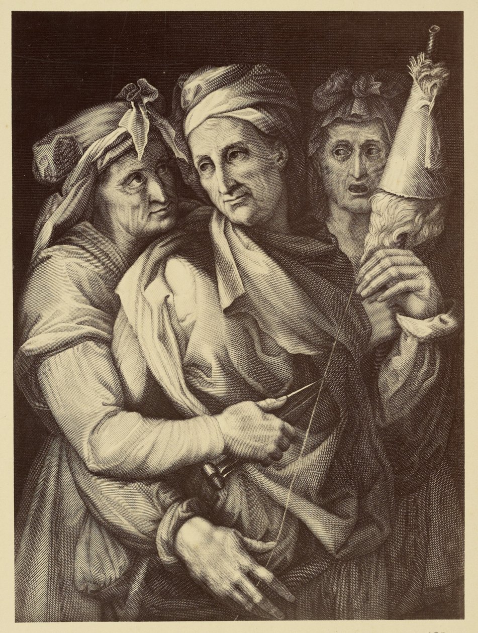 Disegno di tre donne da Fratelli Alinari