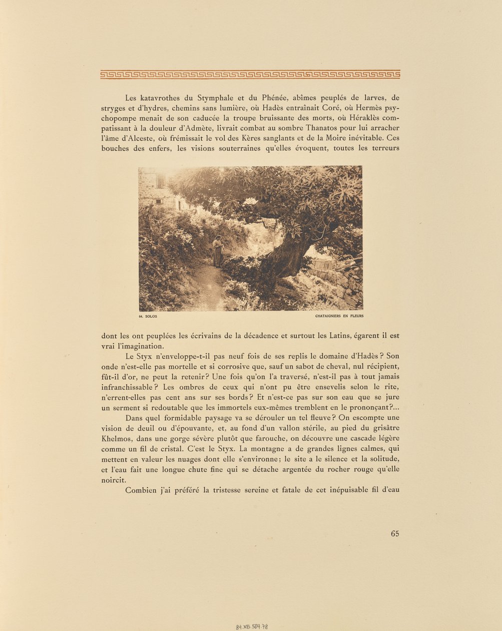 Assoli. Castagni in fiore da Frédéric Boissonnas