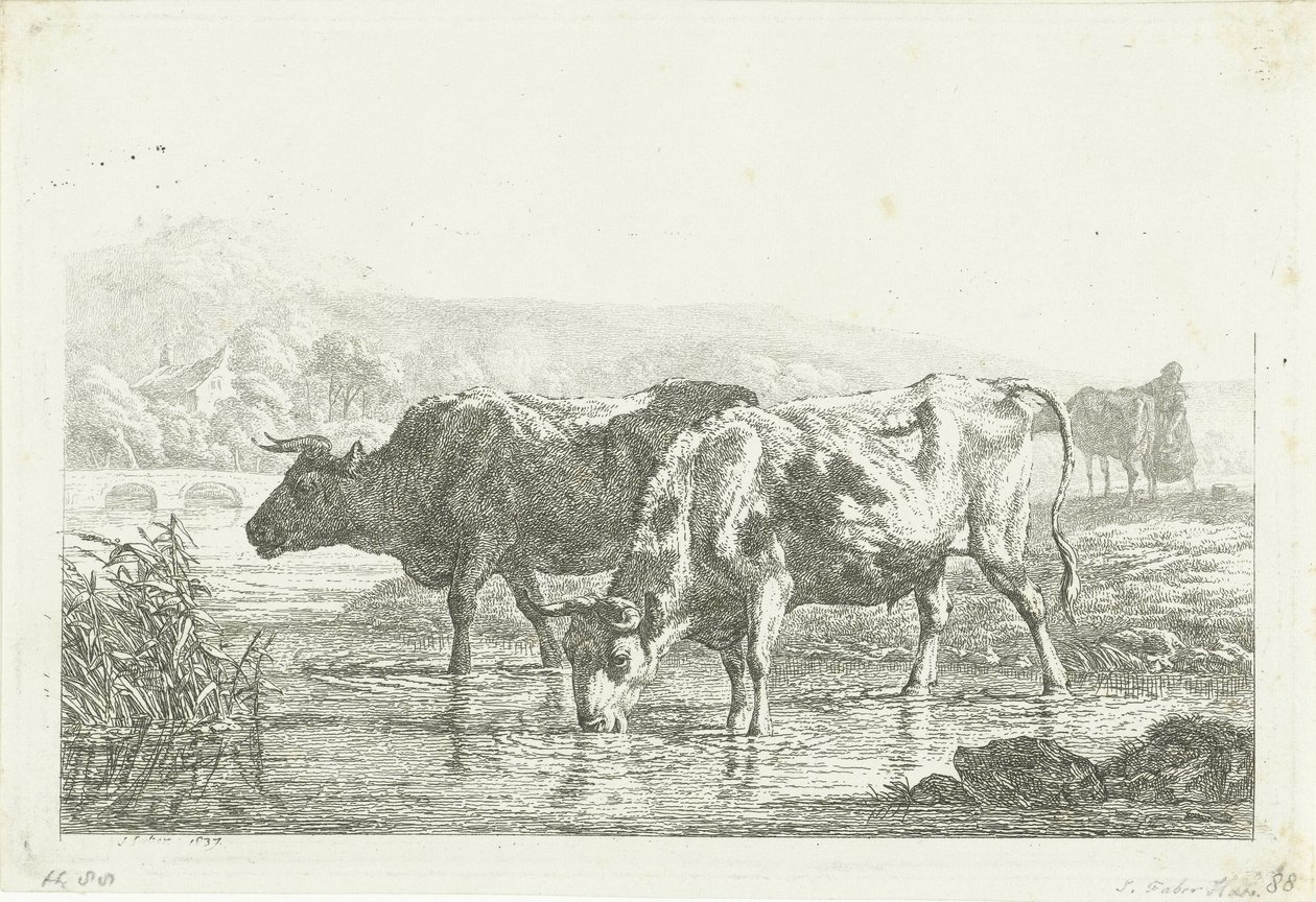 Due mucche che bevono da Frédéric Théodore Faber