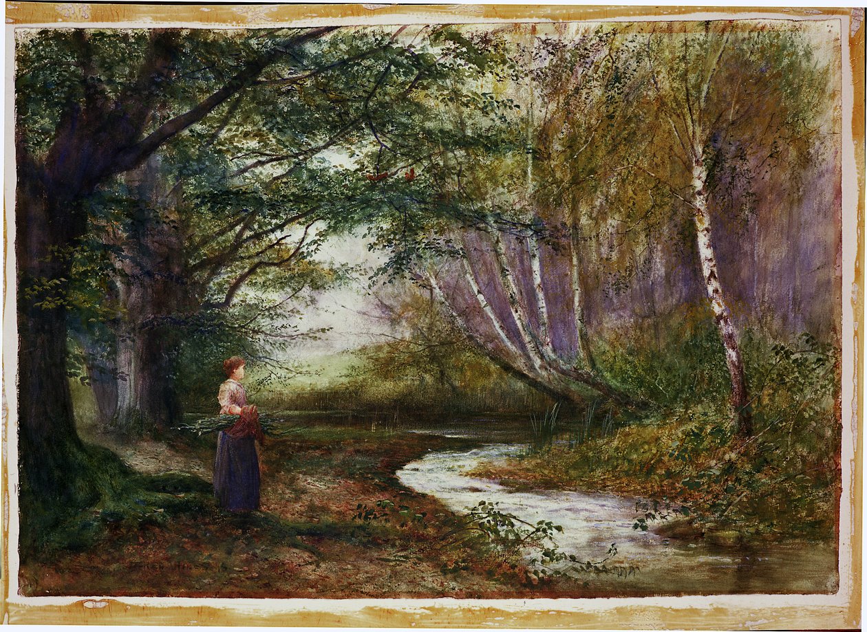 Burnham Beeches, Autunno da Fred Hines
