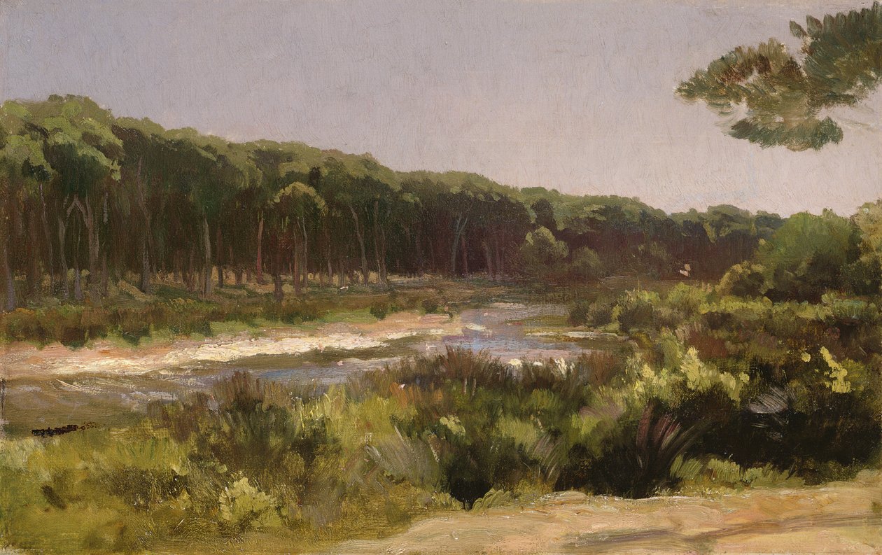 Paesaggio toscano (il fiume Arno a San Rossore) da Frederic Leighton