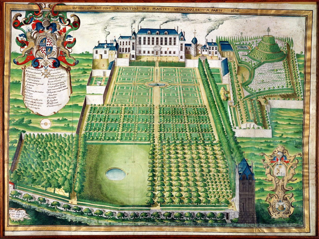 Il Giardino delle Piante Medicinali del Re, 1636 da Frederic Scalberge