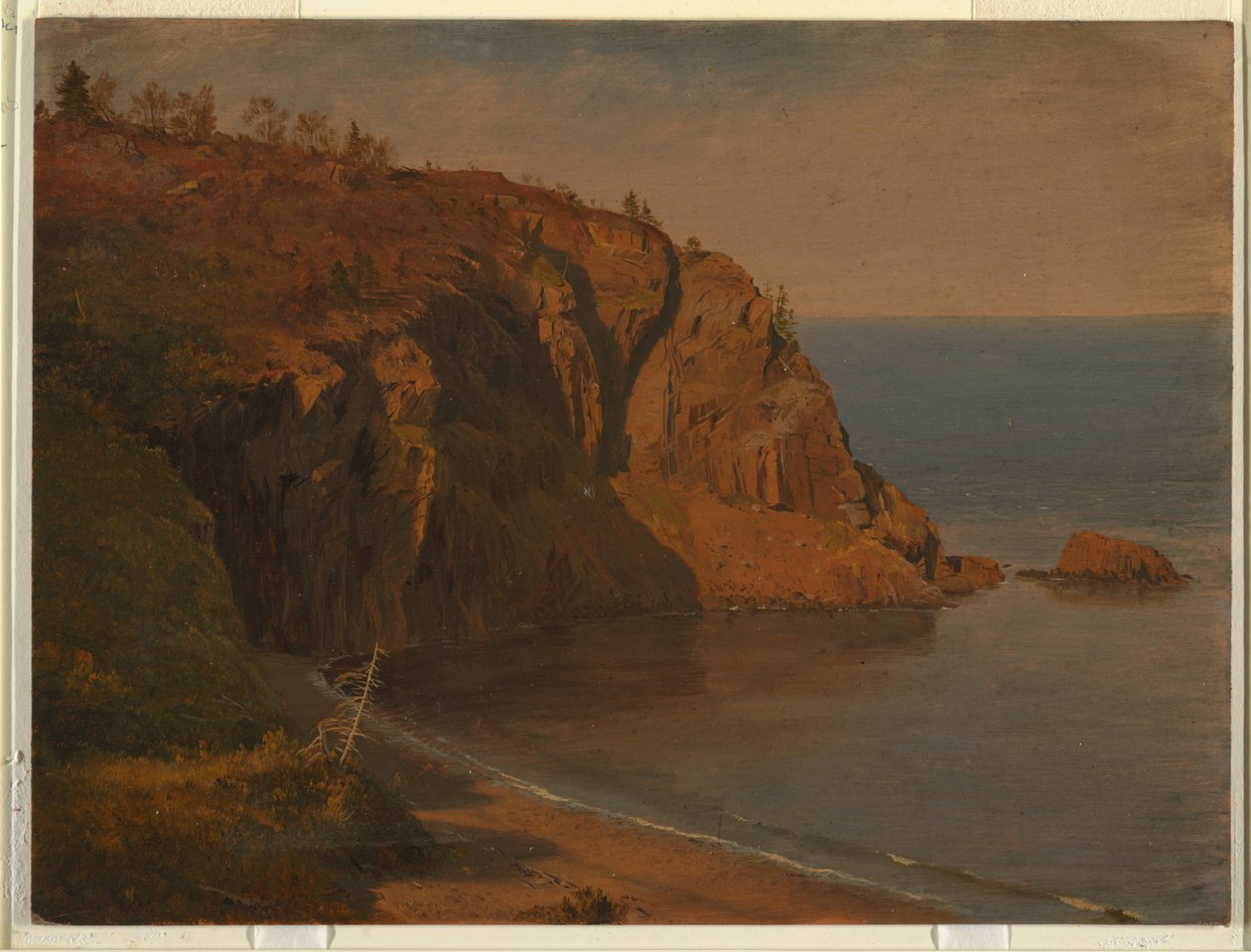 Costa dell