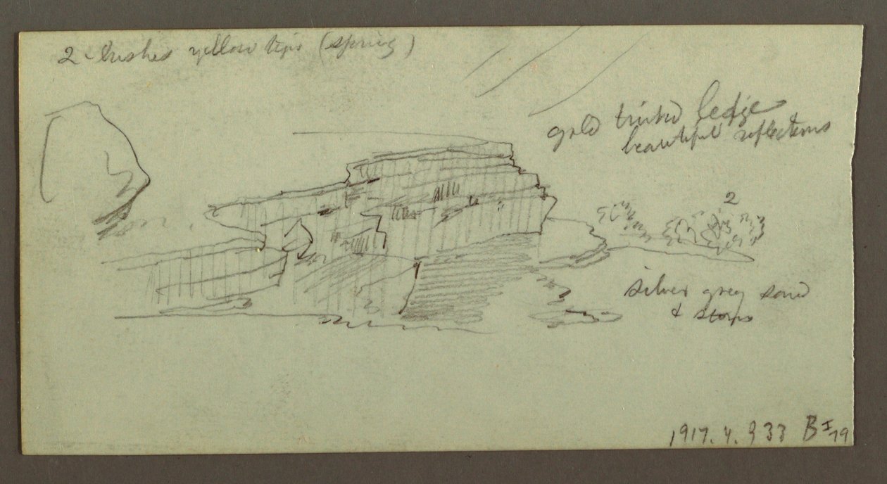 Disegno, Canyon, forse 1868 da Frederic Edwin Church