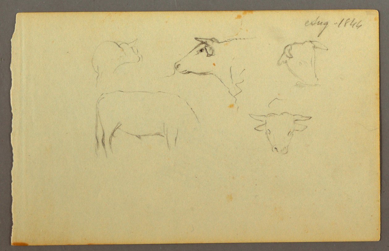 Disegno, mucche, 1844 da Frederic Edwin Church