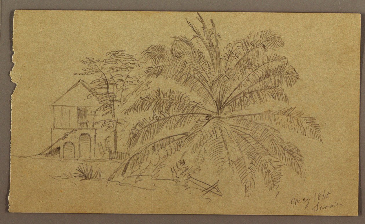 Disegno, Casa e Felce, maggio 1865 da Frederic Edwin Church