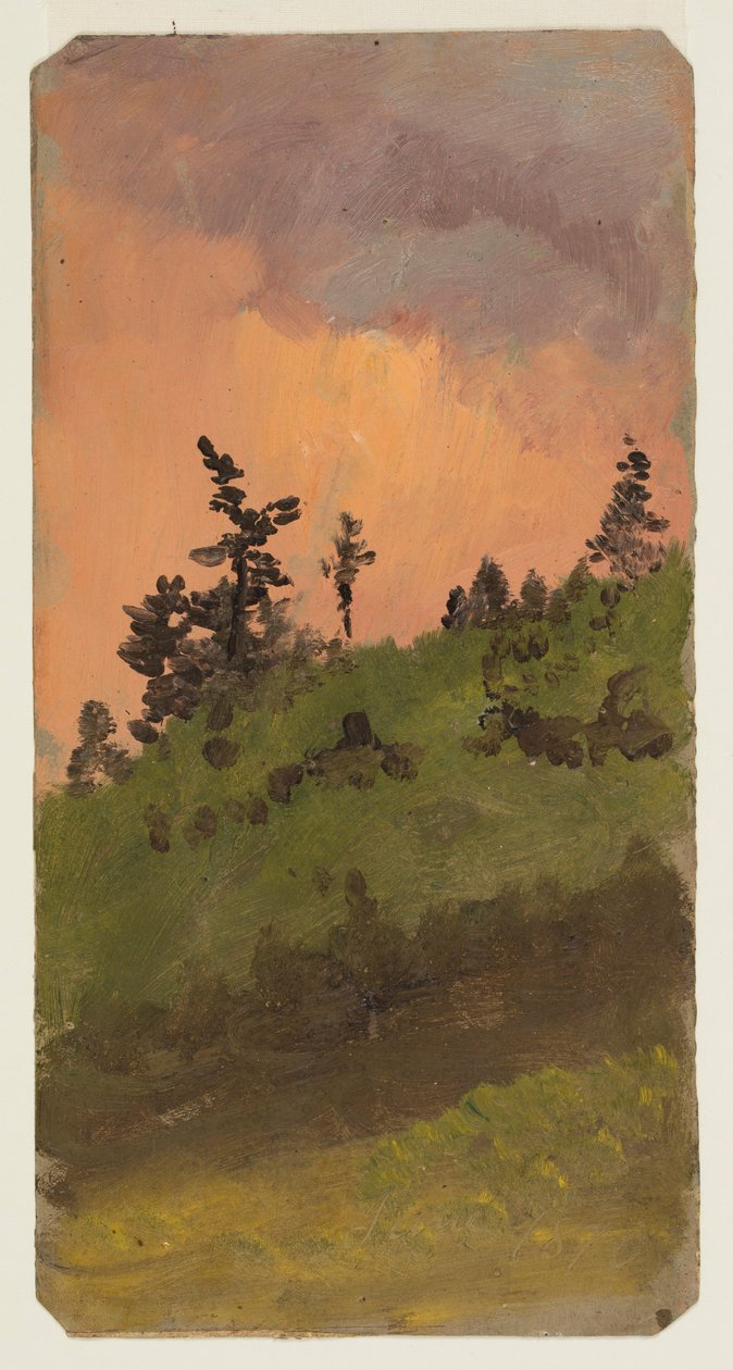 Disegno, Paesaggio con bosco, giugno 1870 da Frederic Edwin Church