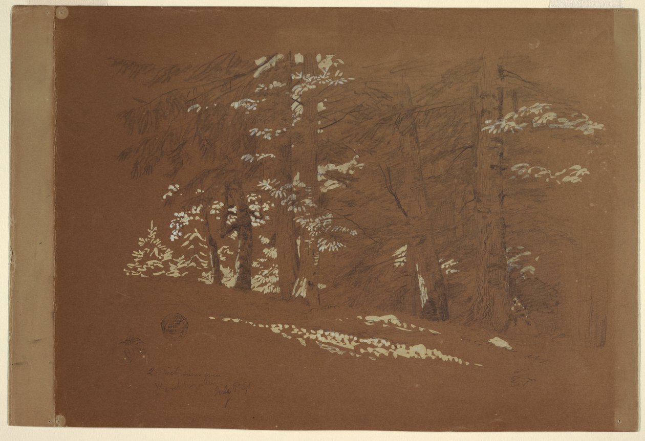 Disegno, Alberi, Berchtesgaden, Baviera, 1868 da Frederic Edwin Church