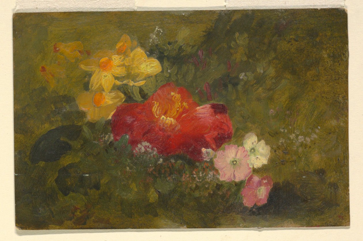 Disegno, Fiori selvatici, Giamaica, 1865 da Frederic Edwin Church