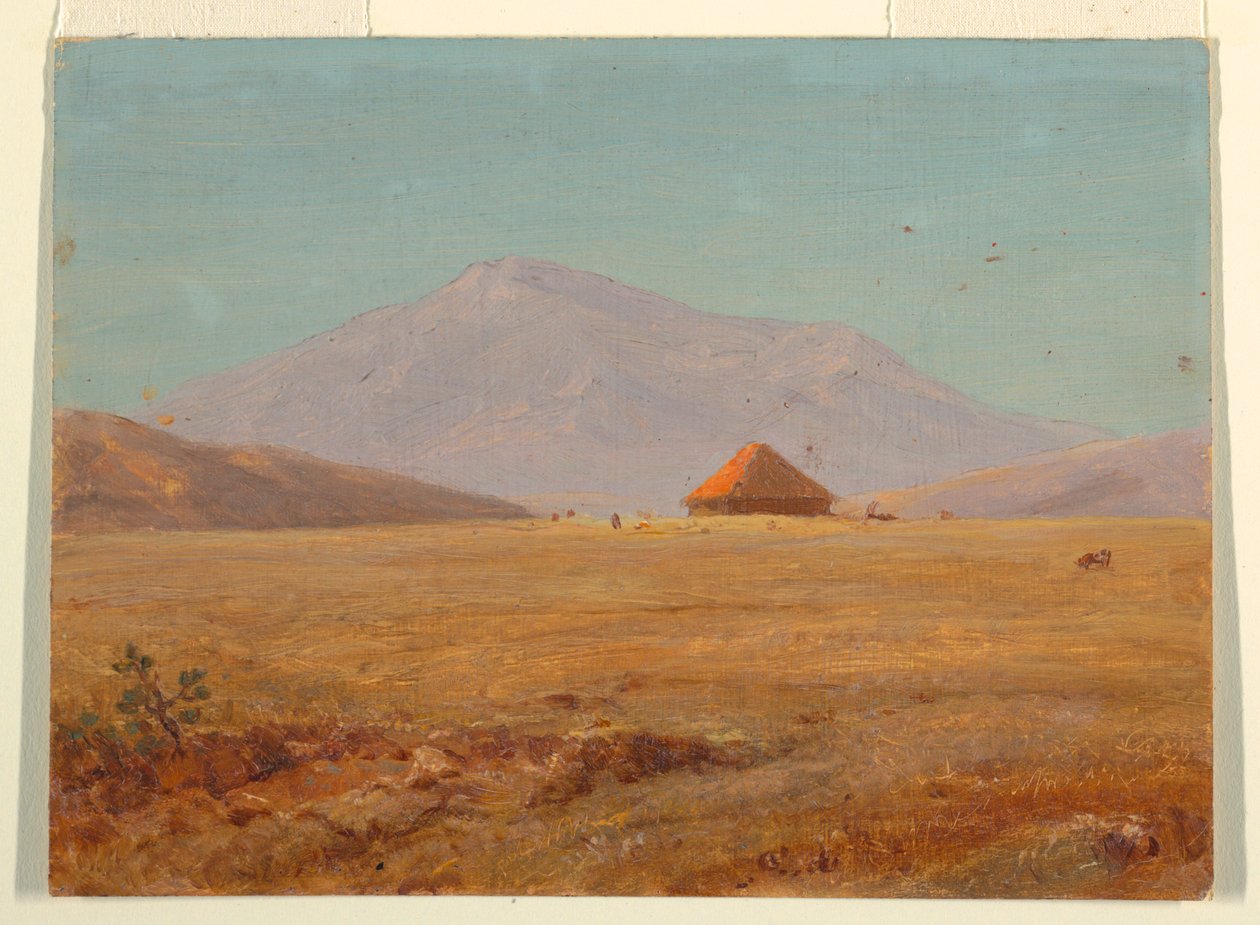 Ecuador ?, altopiano montano con capanna da Frederic Edwin Church