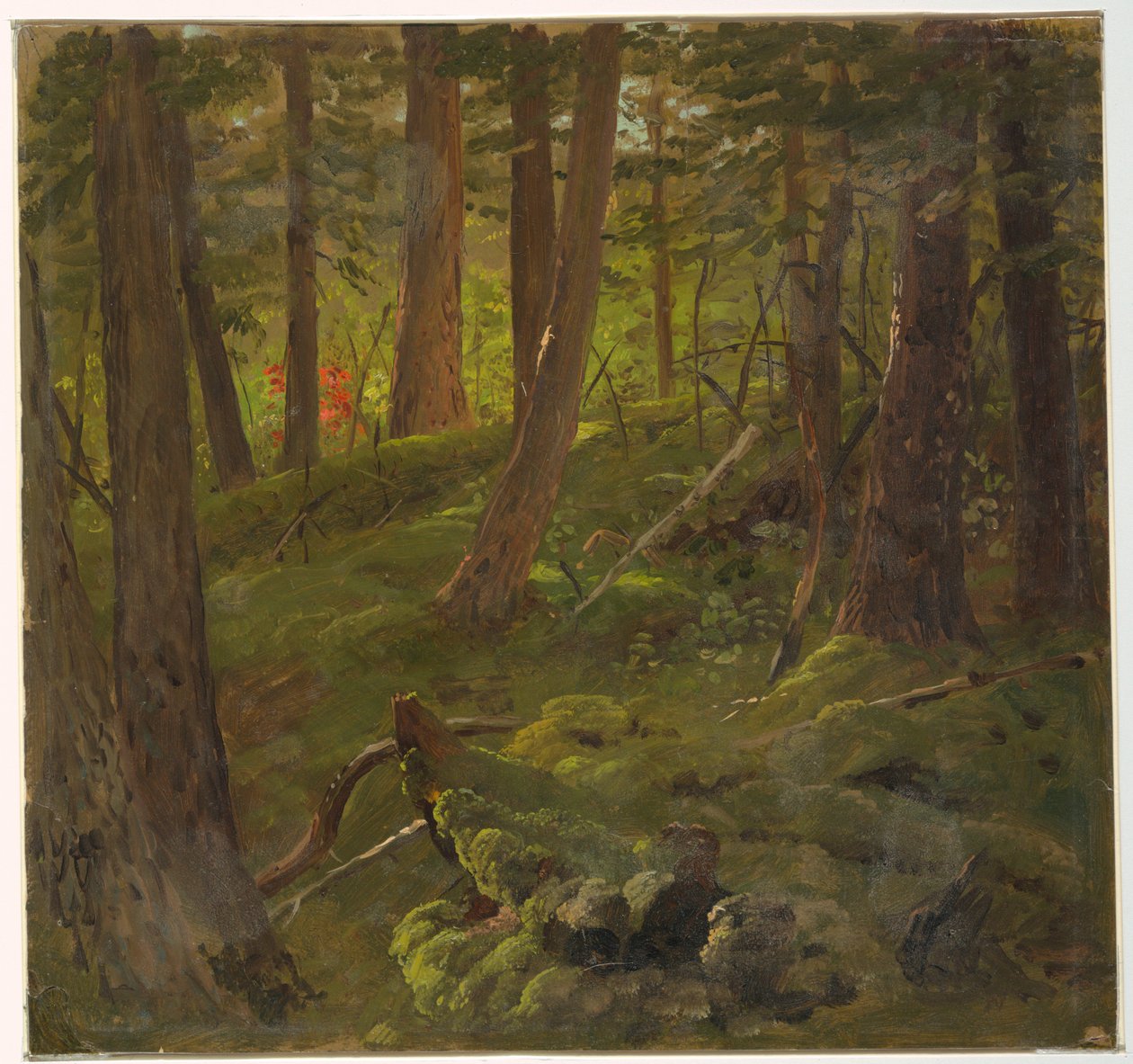 Foresta in Giamaica da Frederic Edwin Church