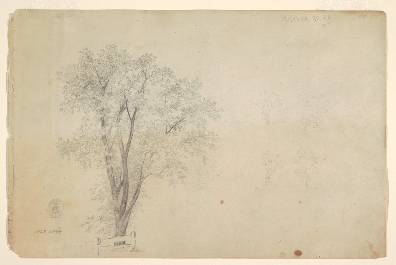 Alberi da Frederic Edwin Church