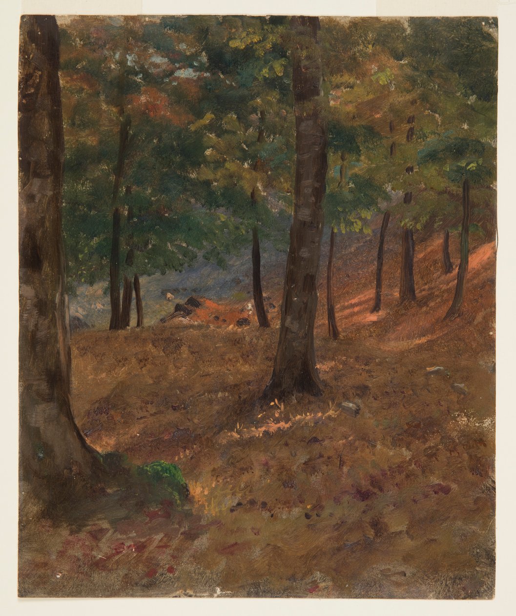 Scena boschiva da Frederic Edwin Church