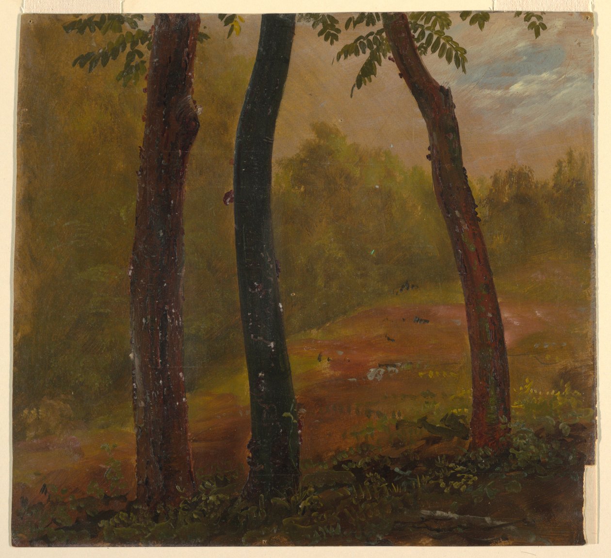 Scena boschiva, Giamaica da Frederic Edwin Church
