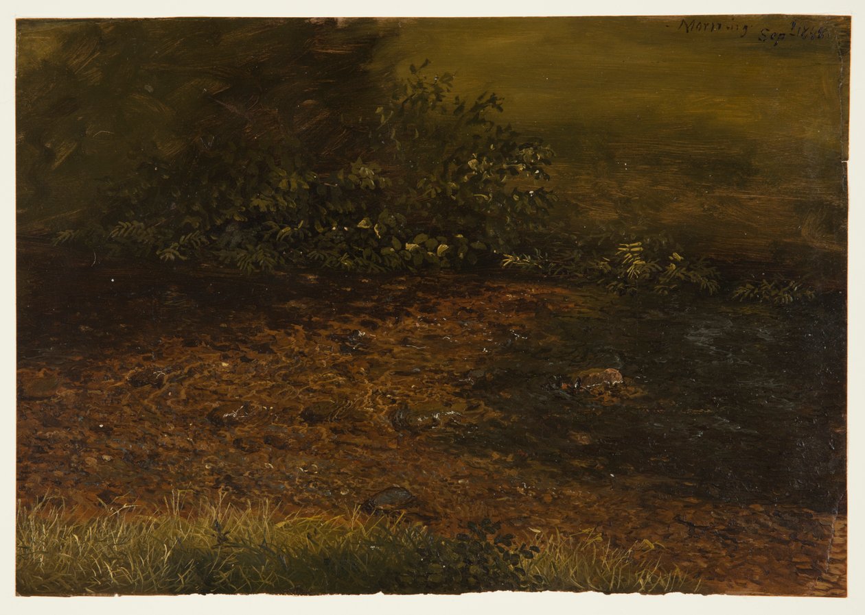 Ruscello nel bosco nei Catskills da Frederic Edwin Church