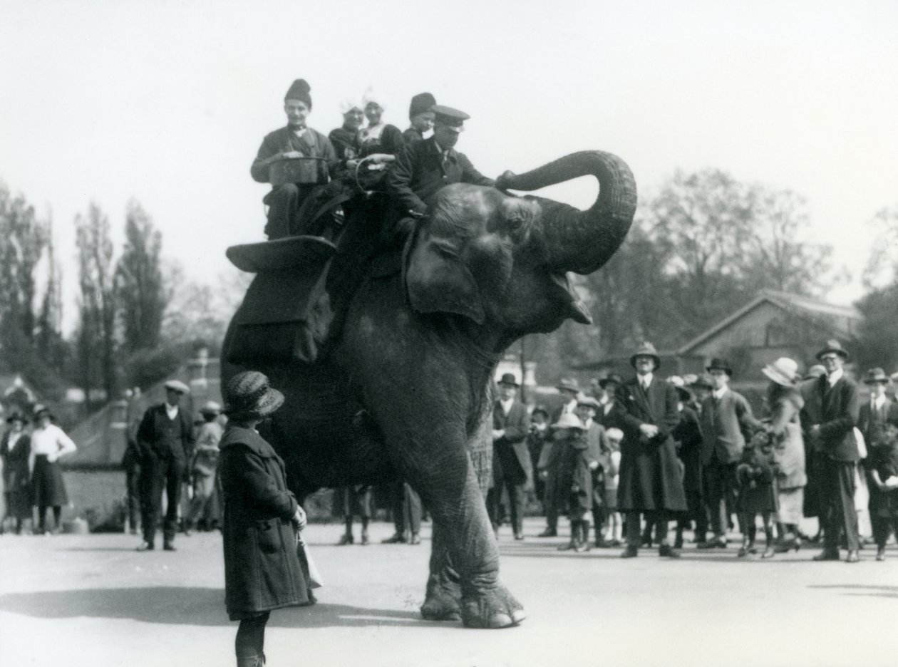 Visitatori armeni cavalcano Indiarani, osservati da folle di spettatori, London Zoo, maggio 1923 (foto in bianco e nero) da Frederick William Bond