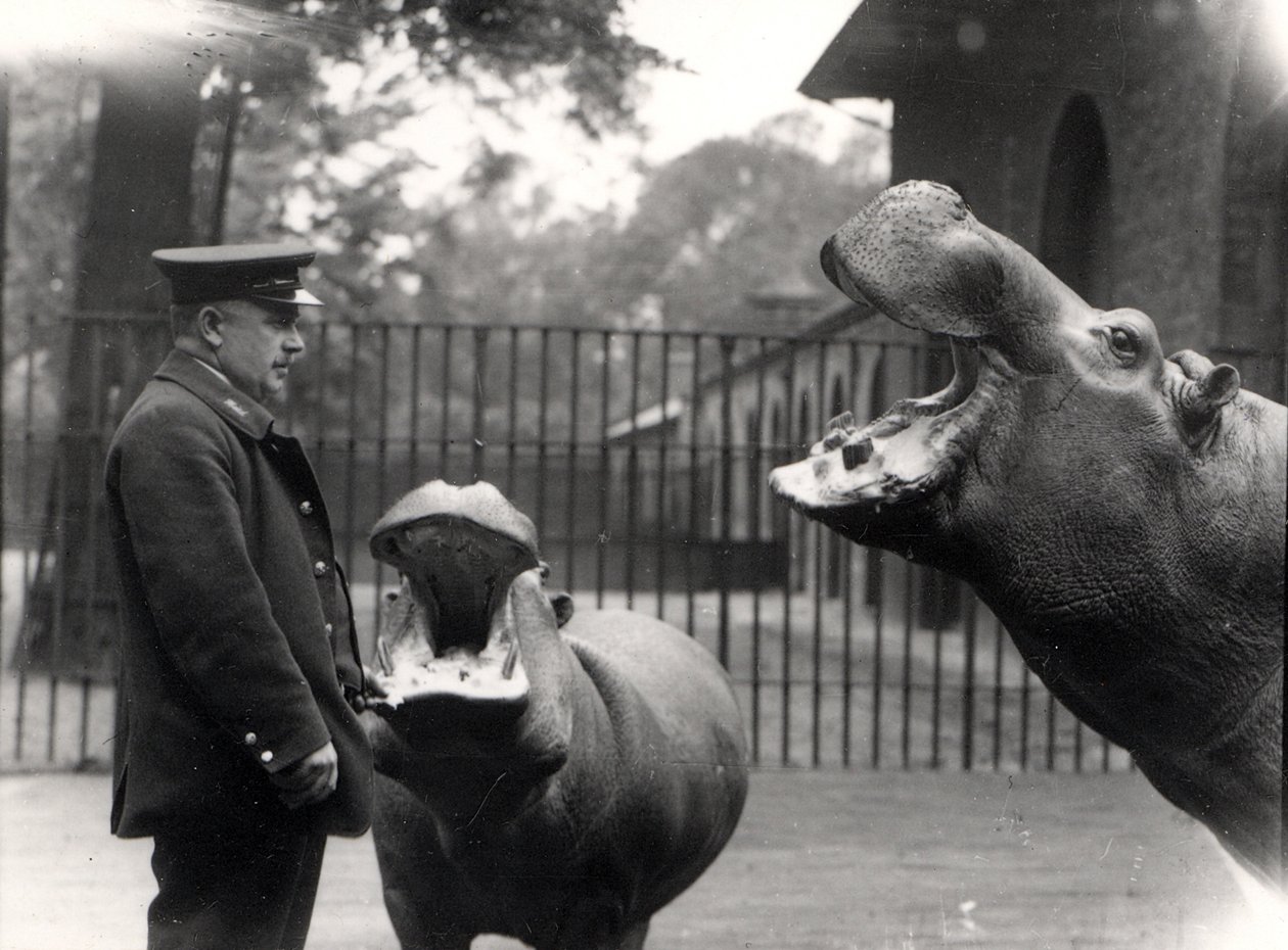 Bobbie e Joan, 1923 da Frederick William Bond