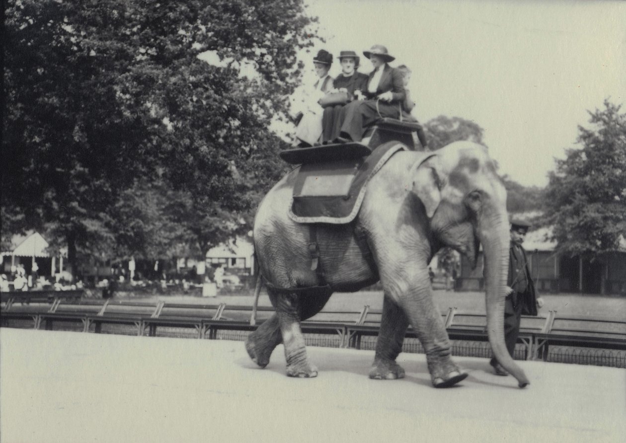 Tre signore portate su un elefante asiatico, guidato da un custode, allo Zoo di Londra, maggio 1914 da Frederick William Bond