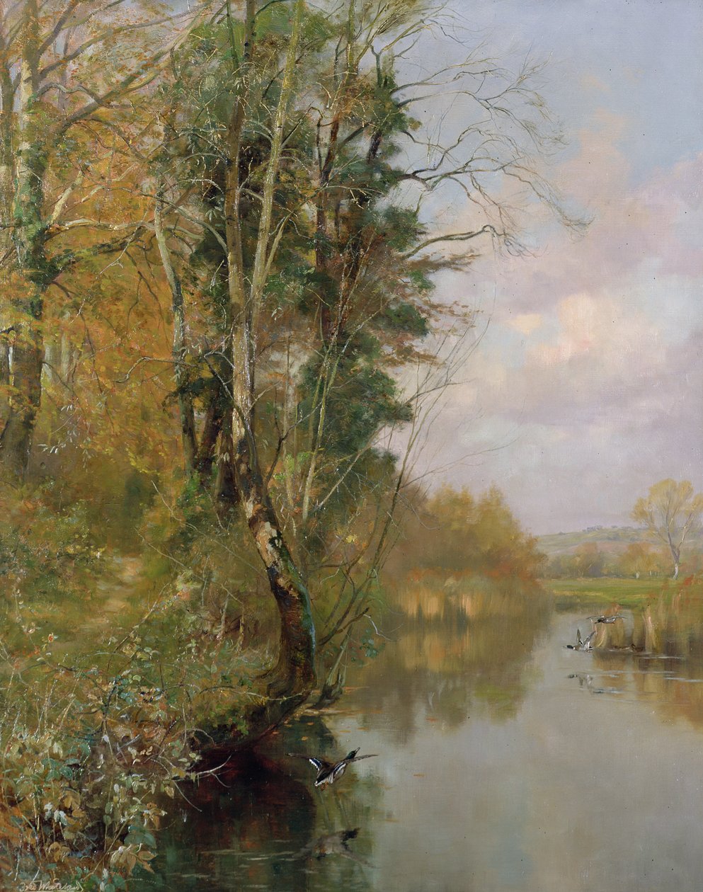 Il fiume Frome, Morton vicino a Dorchester, 1901 da Frederick William Newton Whitehead