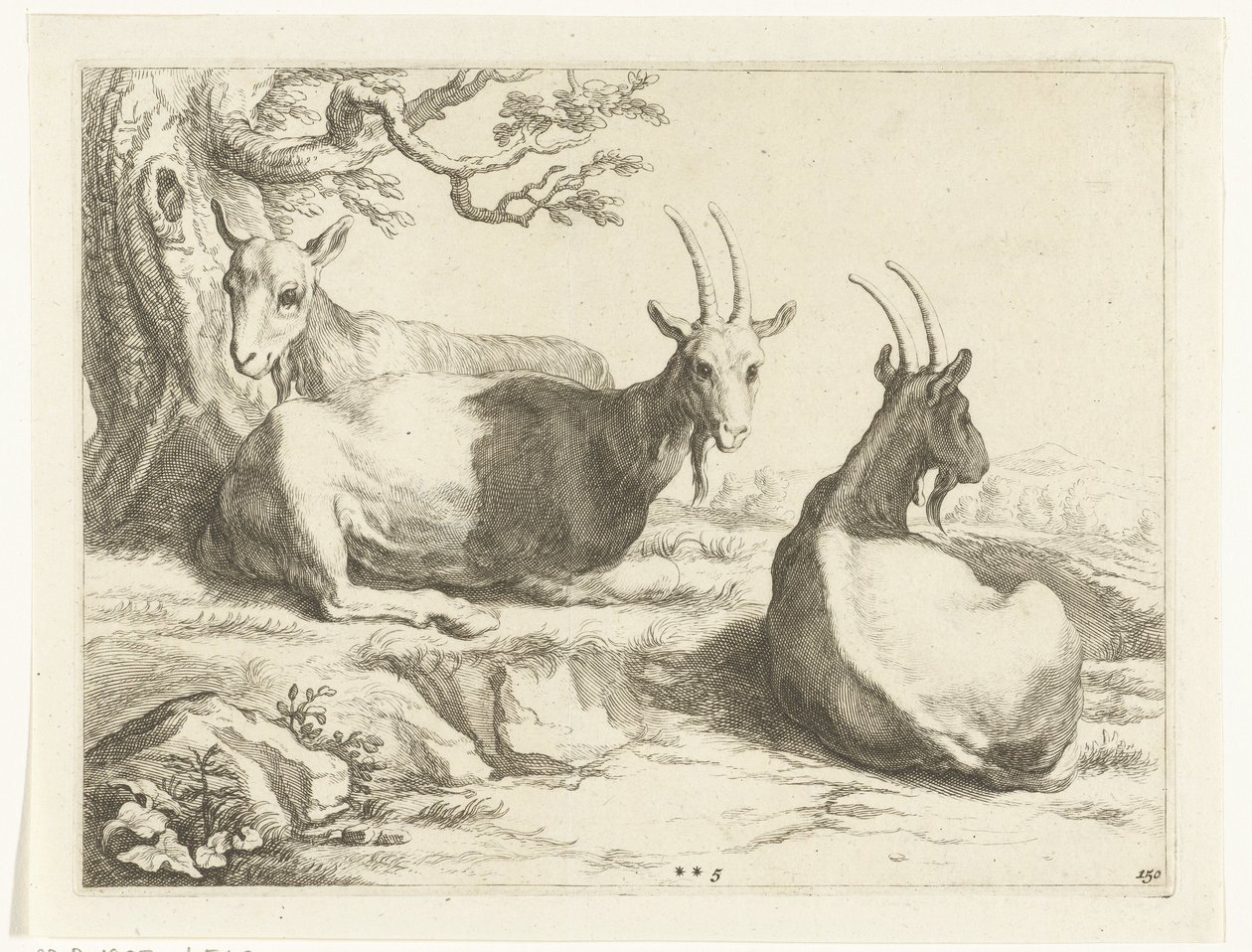 Capre (serie: Il libro di disegno di Abraham Bloemaert) da Frederick Bloemaert