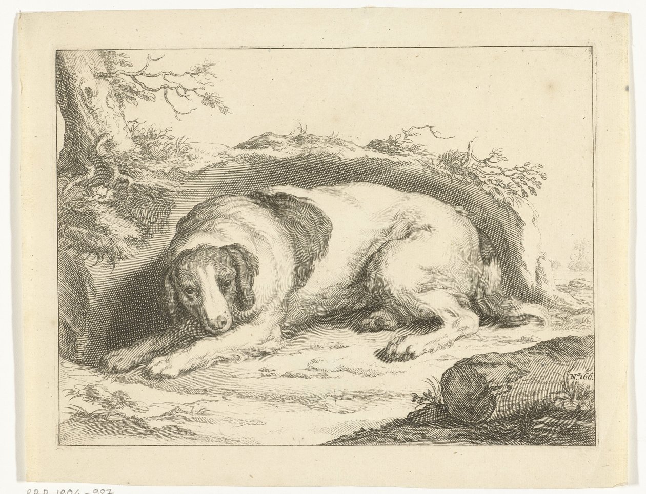 Spaniel da Frederick Bloemaert