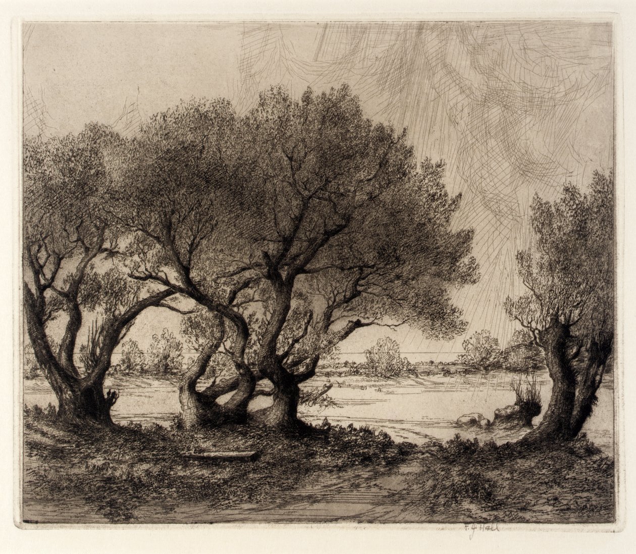 Vecchi salici da Frederick G. Hall