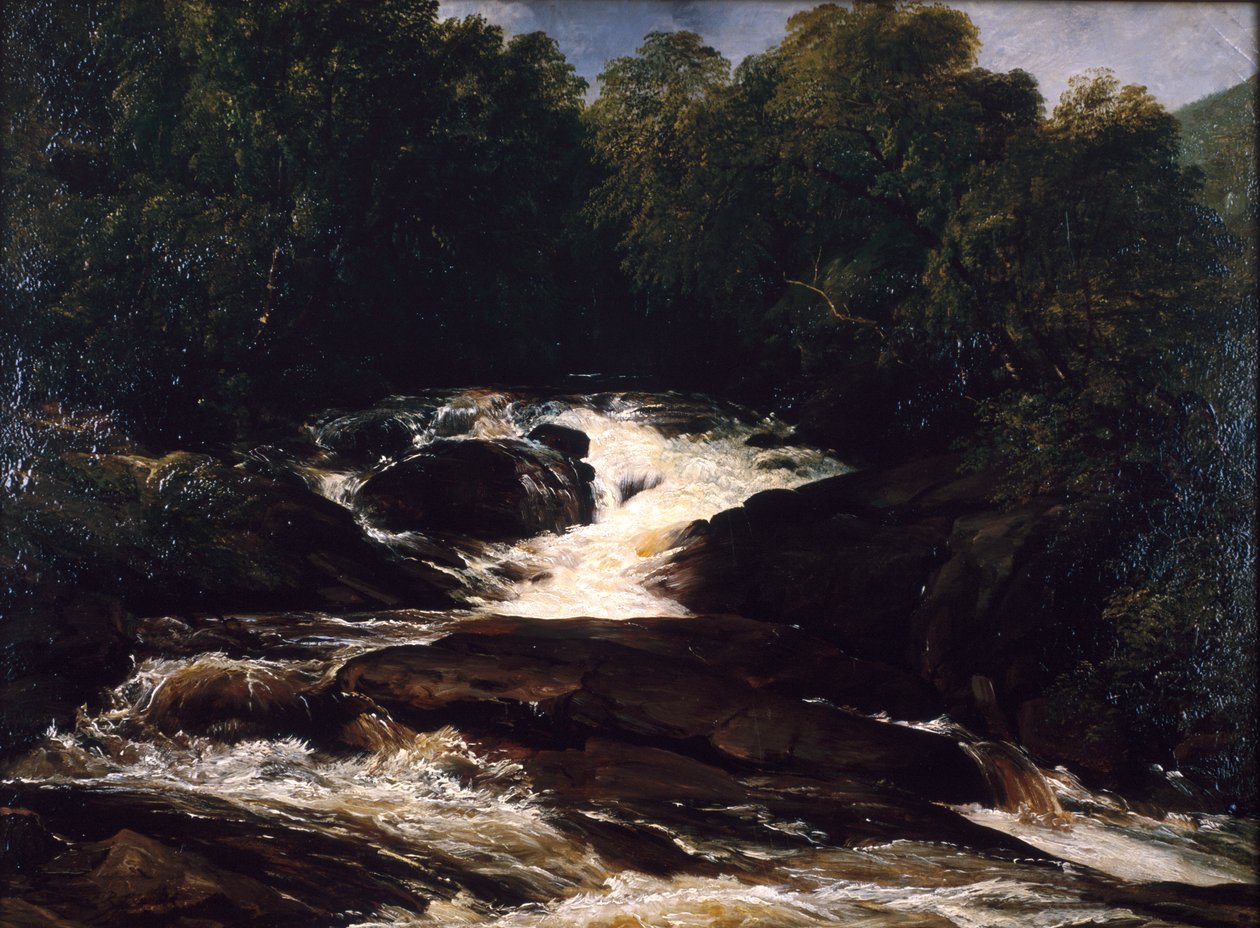 Un ruscello del Devonshire da Frederick Richard Lee