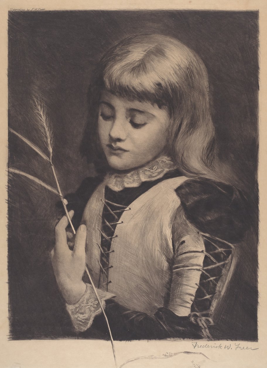 Coccinella da Frederick W. Freer