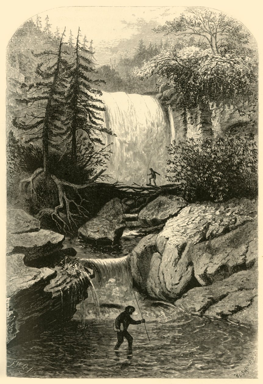 Cascate del Blackwater, 1872 da Frederick William Quartley
