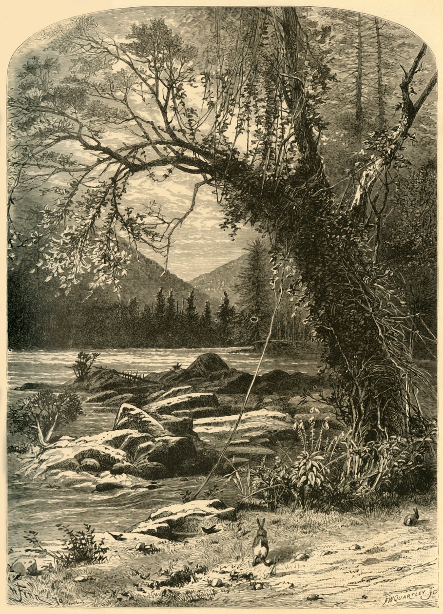 Il French Broad, 1872 da Frederick William Quartley