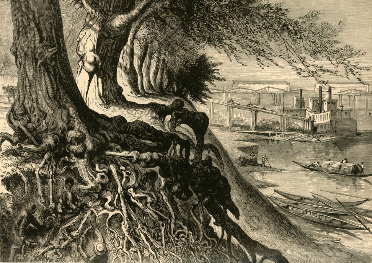 Il Savannah, ad Augusta da Frederick William Quartley
